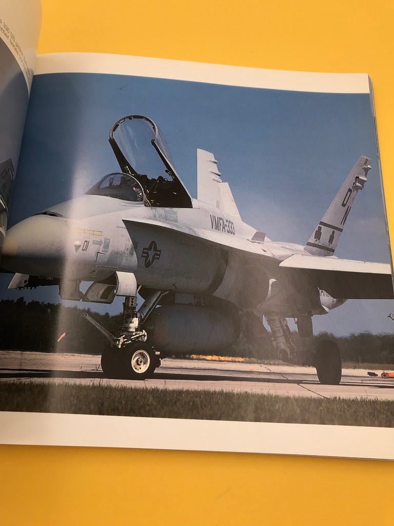 F-18 HORNET — MULTI-MISSION WARPLANE —