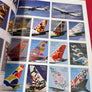 KUNST UND WERBUNG AN VERKEHRSFLUGZEUGEN — Art & Advertisement Airliners —
