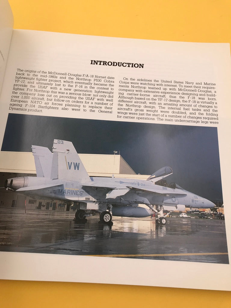 F-18 HORNET — MULTI-MISSION WARPLANE —