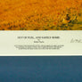 OUT OF FUEL, AND SAFELY HOME — Robert Taylor — Signed Limited Edition 747/1250 — Framed