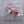 DIE-CAST MODEL — 🇻🇪 SBA Airlines — Boeing 757-200 — Herpa — 1:500 — WITH ORIGINAL BOX —