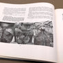 Forty years on... HANDLEY PAGE'S FOUR DECADES OF ACHIEVEMENT