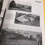 SEA EAGLES / LUFTWAFFE ANTI-SHIPPING UNITS 1939-1941 (VOLUME ONE ) (LUFTWAFFE COLOURS)