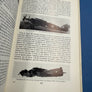 BRISTOL AIRCRAFT SINCE 1910