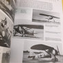 FLEDGLING EAGLES / LUFTWAFFE TRAINING AIRCRAFT 1933-1945 (LUFTWAFFE COLOURS)