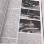[ ALBUM HISTORIQUE ] La Luftwaffe face au débarquement allié 6 juin au 31 août 1944