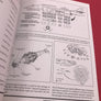 BOEING NORTH AMERICAN B-1 LANCER - VOLUME 19