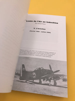 L'Armée de l'Air en Indochine