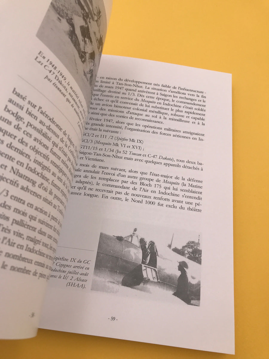 L'Armée de l'Air en Indochine