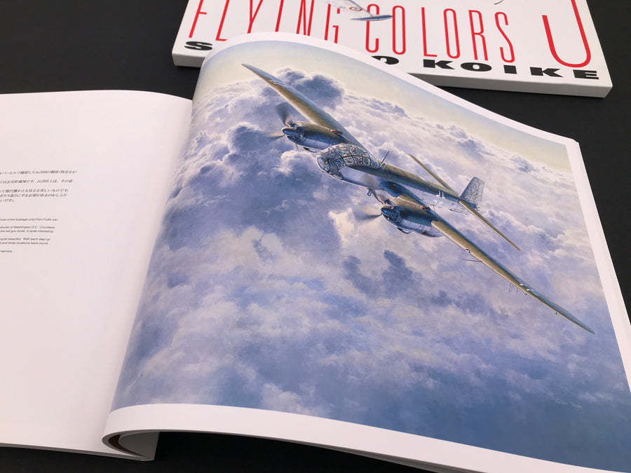 FLYING COLORS – SHIGEO KOIKE 3