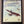 CONTACT! — The Story of the Early Birds — Man's first decade of flight from Kitty Hawk to World War 1 —