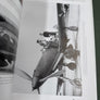 Regia Aeoronautica – The Italian Air Force 1923-1945 – An Operational History