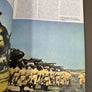 histoire de la luftwaffe — Tout sur la force aérienne engagée par Hitler dans la seconde guerre mondiale —