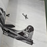 THE B-17 FLYING FORTRESS — Famous Aircraft Series —