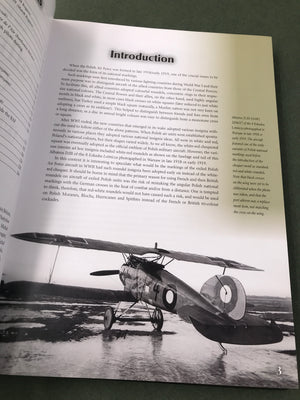 POLISH FIGHTER COLOURS 1939 - 1947 vol. 1 — Rainbow No 9131 —