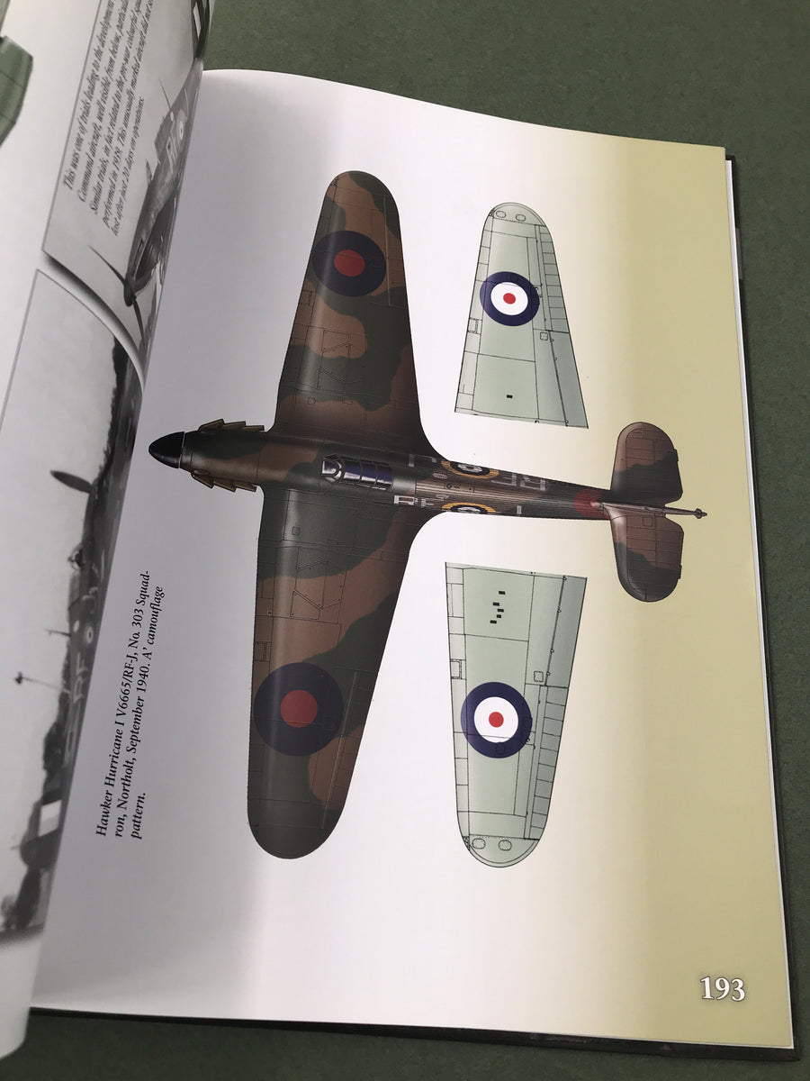 POLISH FIGHTER COLOURS 1939 - 1947 vol. 1 — Rainbow No 9131 —