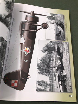 POLISH FIGHTER COLOURS 1939 - 1947 vol. 1 — Rainbow No 9131 —