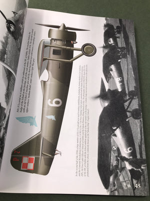 POLISH FIGHTER COLOURS 1939 - 1947 vol. 1 — Rainbow No 9131 —