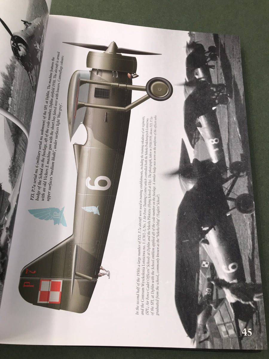 POLISH FIGHTER COLOURS 1939 - 1947 vol. 1 — Rainbow No 9131 —