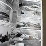 BEAUFIGHTER SQUADRONS IN FOCUS