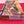 Maquette à monter - "Persian Cat" F-14A TomCat-IRIAF HobbyBoss (LIKE NEW INSIDE UNOPENED)