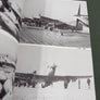 P-51 MUSTANG — Warbirds fotofax —
