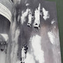VITA E VICENDE DE L'AERONAUTICA MILITARE ITALIANA in 645 foto
