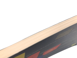 Book of Airlines / Handbuch der Fluglinien / Guide des lignes aériennes / Libro de lineas aéreas *** TOP OFFER ***