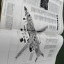 MODERN FIGHTING AIRCRAFT B-1B — AVIATION FACT FILE —
