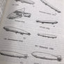 LZ-129 - Hindenburg