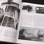 FOCKE-WULF Fw190  — 1944-1945 — Volume Three — (N°20 CLASSIC)