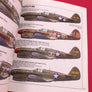 CURTISS P-40 – De 1939 à 1945 [AVIONS et PILOTES n°3]