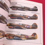 CURTISS P-40 – De 1939 à 1945 [AVIONS et PILOTES n°3]