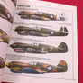 CURTISS P-40 – De 1939 à 1945 [AVIONS et PILOTES n°3]