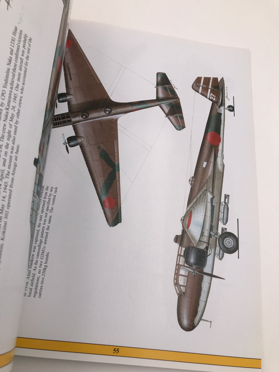 Japanese WWII Aircraft in Colour (Volume 1)