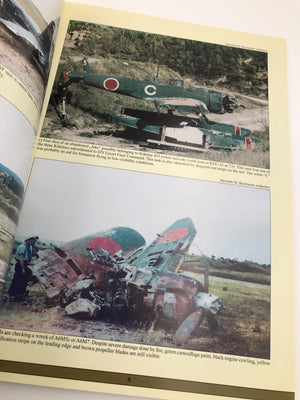 Japanese WWII Aircraft in Colour (Volume 1)