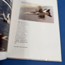 STINGERS — The McDonnell Douglas F/A-18 — FOREWORD BY F/A-18 CHIEF TEST PILOT JACK RINGS