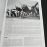 Messerschmitt B£ 109s of KG(J) 6 — LUFTWAFFE OVER CZECH TERRITORY - 1945 — Vol. V.