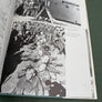 AIRBORNE — Coll. at War —