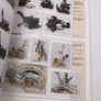 THE DE HAVILLAND MOSQUITO A COMPREHENSIVE GUIDE FOR THE MODELLER — MODELLERS 1 DATAFILE —