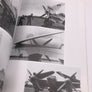DE HAVILLAND MOSQUITO (Coll.Crécy illustrated)