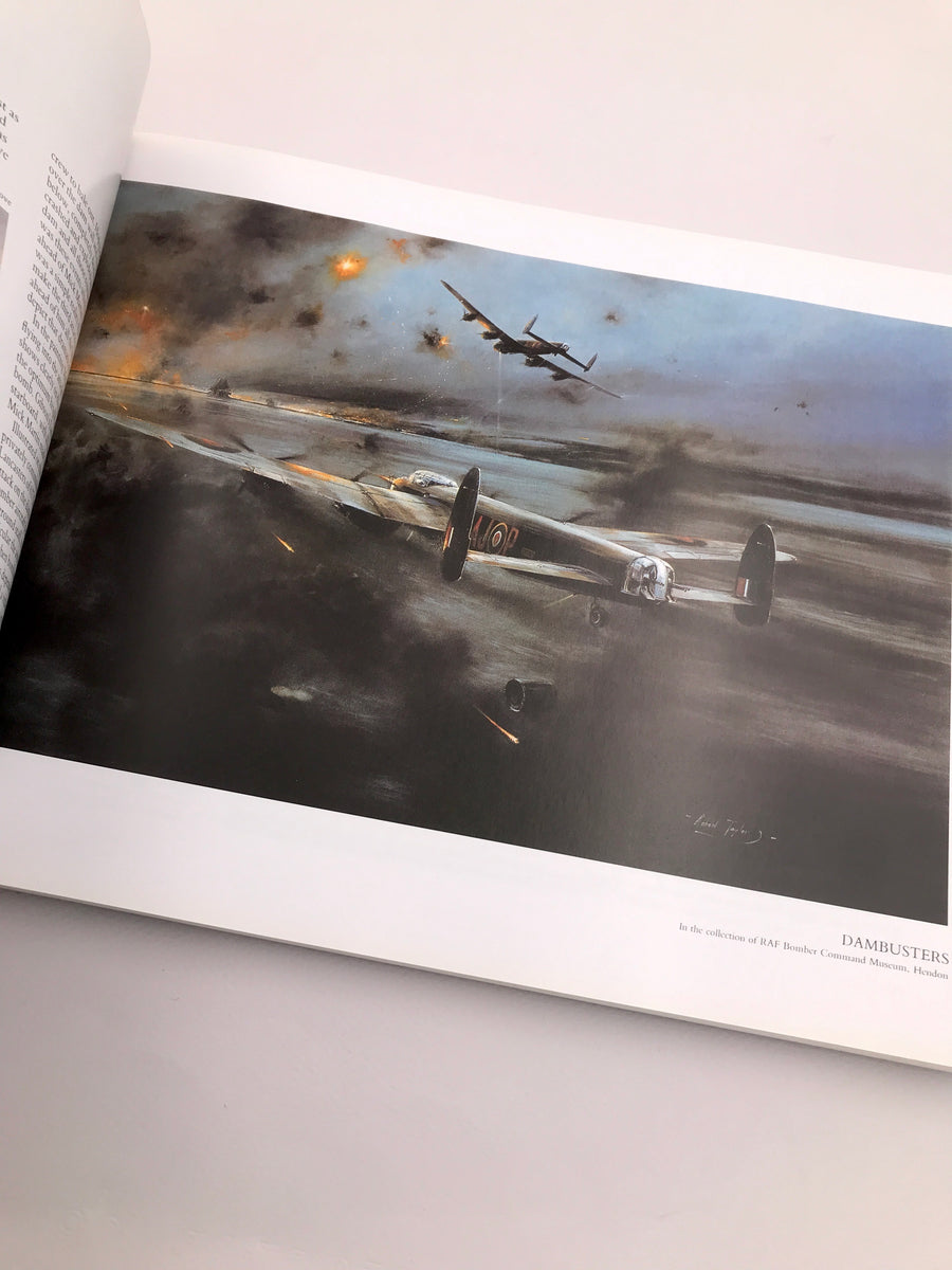 THE AIR COMBAT PAINTINGS OF ROBERT TAYLOR