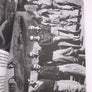 IMAGES OF WAR RAF FIGHTER PILOTS OVER BURMA