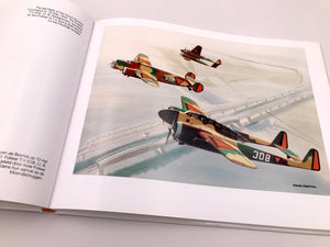 The aviation gouaches of de luchtvaartgouaches van Thijs Postma