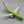 DIE-CAST MODEL — 🇿🇦 Kulula.com — Boeing 737-800 — Herpa — 1:500 — WITH ORIGINAL BOX —