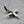 DIE-CAST MODEL — 🇺🇸 Titan Airways — BAe 146-200 — Herpa — 1:500 — WITH ORIGINAL BOX —