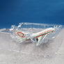 DIE-CAST MODEL — 🇲🇦 Royal Air Maroc — Boeing 747SP — Herpa — 1:500 — WITH ORIGINAL BOX —