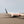DIE-CAST MODEL — 🇶🇦 Qatar Airways — Airbus A350-900 XWB — Herpa — 1/500 — WITH ORIGINAL BOX —