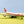 DIE-CAST MODEL — 🇱🇧 MEA (Middle East Airlines) — BOEING 747-2B4B (SCD) — HERPA — 1:500 — WITH ORIGINAL BOX —