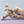 DIE-CAST MODEL — 🇮🇷 Iran Air — Boeing 747SP — Herpa Wings — 1:500 — WITH ORIGINAL BOX —
